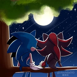 Size: 1668x1668 | Tagged: safe, artist:chinchila010, shadow the hedgehog, sonic the hedgehog, abstract background, duo, gay, moon, nighttime, shadow x sonic, shipping, shooting star, signature, sitting, star (sky), tree, tree branch