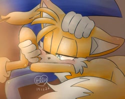 Size: 1270x1004 | Tagged: safe, artist:elly, miles "tails" prower, sonic the hedgehog, 2019, blushing, blushing ears, duo, floppy ear, gay, hand on another's head, holding them, lidded eyes, lying on front, one eye closed, shipping, signature, sitting, smile, sonic x tails