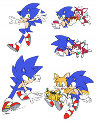 Size: 1000x1273 | Tagged: safe, artist:sloth_g_ya, chip, miles "tails" prower, sonic the hedgehog, eating, food, miles electric, simple background, sitting, white background