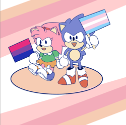Size: 1240x1234 | Tagged: safe, artist:lunarlunatone, amy rose, sonic the hedgehog, abstract background, bisexual, bisexual pride, classic amy, classic sonic, cute, duo, flag, flat colors, headcanon, holding something, looking at viewer, looking offscreen, mouth open, pride, pride flag, smile, standing, trans male, trans pride, transgender