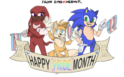 Size: 2048x1280 | Tagged: safe, artist:emo-hermit, knuckles the echidna, miles "tails" prower, sonic the hedgehog, english text, holding something, looking at viewer, movie style, pride, pride flag, signature, simple background, smile, standing, team sonic, trans pride, transparent background, trio