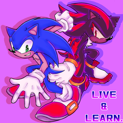 Size: 1100x1100 | Tagged: safe, artist:giorfroggy, shadow the hedgehog, sonic the hedgehog, sonic adventure 2, duo, english text, frown, gay, live and learn, looking at viewer, purple background, redraw, shadow x sonic, shipping, simple background, smile, t4t, top surgery scars, trans male, transgender
