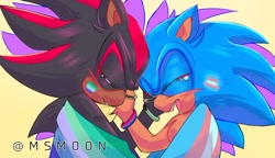 Size: 1424x819 | Tagged: safe, artist:ms_0102004, shadow the hedgehog, sonic the hedgehog, 2024, bisexual, bisexual pride, cute, demiromantic, demiromantic pride, duo, eyes closed, face paint, flag, gay, hand on another's face, mlm pride, pride, pride flag, shadow x sonic, shipping, signature, simple background, smile, standing, trans male, trans pride, transgender, yellow background
