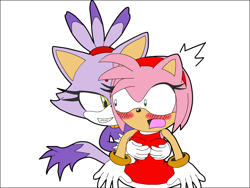Size: 800x600 | Tagged: suggestive, artist:sonic-yuri, amy rose, blaze the cat, 2009, amy x blaze, blushing, breast grab, breasts, duo, from behind, lesbian, mouth open, shipping, shrunken pupils, simple background, smile, standing, surprised, white background