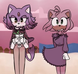 Size: 998x950 | Tagged: safe, artist:emioliravioli, amy rose, blaze the cat, cat, hedgehog, 2024, amy x blaze, cute, female, females only, lesbian, looking at each other, shipping