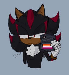 Size: 1093x1200 | Tagged: safe, artist:ikabloom, shadow the hedgehog, :|, blue eyes, lesbian pride, lidded eyes, looking offscreen, pride, signature, simple background, solo, wallet