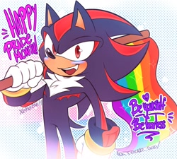 Size: 2000x1803 | Tagged: safe, artist:xeno25614, shadow the hedgehog, 2024, abstract background, english text, face paint, flag, gay pride, holding something, looking at viewer, mouth open, outline, pride, pride flag, signature, smile, solo, standing, top surgery scars, trans male, trans pride, transgender