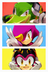 Size: 1245x1846 | Tagged: safe, artist:bhuxu, charmy bee, espio the chameleon, vector the crocodile, frown, looking at viewer, smile, team chaotix, trio