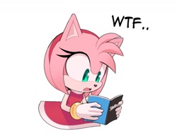 Size: 1435x1080 | Tagged: safe, artist:toonsite, amy rose, shadow the hedgehog, sonic the hedgehog, book, reading, shadow x sonic, shipping, wtf