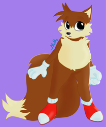 Size: 1710x2048 | Tagged: safe, artist:mochamoth, miles "tails" prower, adventures of sonic the hedgehog, 2024, :<, cute, frown, purple background, signature, simple background, solo, standing, tailabetes