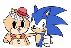 Size: 2048x1376 | Tagged: safe, artist:lynaems, sonic the hedgehog, chiitan, crossover, duo, simple background, smile, thumbs up, white background, wink
