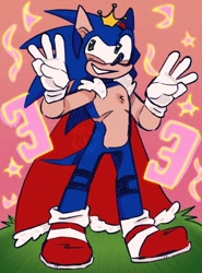 Size: 798x1080 | Tagged: safe, artist:moxiemozze, sonic the hedgehog, abstract background, cape, chest fluff, crown, grass, king sonic, leg braces, looking offscreen, smile, solo, sparkles, standing, top surgery scars, trans male, transgender