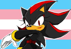 Size: 891x621 | Tagged: safe, artist:magnetic dogz, shadow the hedgehog, alternate outfit, bow, dress, edit, lipstick, looking at viewer, outline, pride flag background, smile, solo, standing, trans female, trans pride, transgender