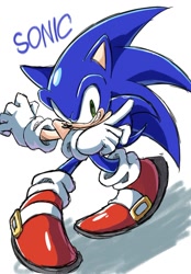 Size: 952x1369 | Tagged: safe, artist:5d_yk5302, sonic the hedgehog, 2024, character name, looking at viewer, pointing, posing, shadow (lighting), simple background, smile, solo, white background