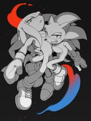 Size: 1028x1368 | Tagged: safe, artist:sk_rokuro, knuckles the echidna, sonic the hedgehog, 2024, black background, duo, gay, greyscale, holding them, knuxonic, looking at viewer, monochrome, shipping, simple background