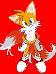 Size: 1559x2048 | Tagged: safe, artist:bakeneko_sky, miles "tails" prower, 2024, blushing, hands on hips, red background, simple background, smile, solo, standing