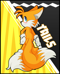 Size: 1047x1285 | Tagged: safe, artist:andrillia, miles "tails" prower, 2021, abstract background, blushing, border, character name, looking back, solo