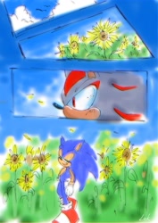 Size: 1448x2048 | Tagged: safe, artist:lok_cd, shadow the hedgehog, sonic the hedgehog, clouds, daytime, duo, flower, outdoors, smile, sunflower