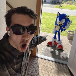 Size: 900x900 | Tagged: safe, artist:hunicrio, sonic the hedgehog, human, 3d, daytime, doorway, duo, indoors, irl, meme, photographic background, pointing, sunglasses