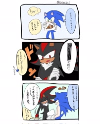 Size: 1652x2048 | Tagged: safe, artist:sxsxsimi, shadow the hedgehog, sonic the hedgehog, squirrel, 2024, comic, duo, japanese text, speech bubble