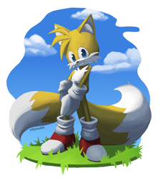 Size: 1125x1257 | Tagged: safe, artist:v0ytsekh, miles "tails" prower, 2024, clouds, daytime, grass, hands together, lineless, looking at viewer, outdoors, signature, smile, solo, standing