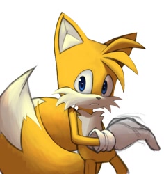 Size: 1004x1064 | Tagged: safe, artist:v0ytsekh, miles "tails" prower, 2024, frown, looking at viewer, simple background, solo, white background