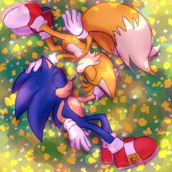 Size: 2048x2048 | Tagged: safe, artist:jeffydust, miles "tails" prower, sonic the hedgehog, 2024, abstract background, alternate version, cute, daytime, duo, eyes closed, flower, gay, grass, hand on another's head, lying down, lying on side, outdoors, shipping, smile, sonic x tails