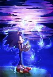 Size: 1420x2048 | Tagged: safe, artist:sumju0, sonic the hedgehog, 2024, butterfly, clouds, outdoors, solo, standing