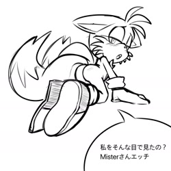 Size: 1668x1668 | Tagged: suggestive, artist:fixstern star, miles "tails" prower, 2020, all fours, black and white, blushing, butt, dialogue, floppy ears, japanese text, lidded eyes, line art, looking at viewer, mouth open, simple background, solo, speech bubble, white background