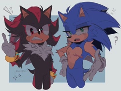 Size: 2048x1549 | Tagged: safe, artist:pineiiomi, shadow the hedgehog, sonic the hedgehog, duo, frown, hand on hip, looking at viewer, looking offscreen, middle finger, question mark, signature, sparkles, standing, top surgery scars, trans male, transgender