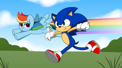 Size: 6032x3344 | Tagged: safe, artist:itskittyrosie, sonic the hedgehog, 2023, abstract background, clouds, crossover, daytime, duo, flying, grass, my little pony, outdoors, pegasus, pony, rainbow dash, running, smile