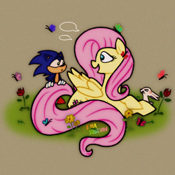 Size: 2048x2048 | Tagged: safe, artist:ema0rsully, sonic the hedgehog, 2023, angel bunny, butterfly, cross popping vein, crossover, flower, literal animal, looking at each other, looking at them, lying down, my little pony, signature, standing, trio