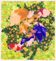 Size: 1858x2048 | Tagged: safe, artist:jeffydust, miles "tails" prower, sonic the hedgehog, 2024, daytime, duo, eyes closed, flower, gay, grass, hand on another's head, lying down, lying on side, outdoors, shipping, signature, smile, sonic x tails