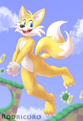 Size: 448x650 | Tagged: safe, artist:gobanire, miles "tails" prower, green hill zone, 2021, barefoot, claws, clouds, daytime, fangs, hands together, looking at viewer, loop, mid-air, mouth open, outfit swap, paws, ring, sign, smile, sunflower