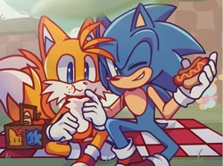 Size: 1075x798 | Tagged: safe, artist:cup99mug33992, miles "tails" prower, sonic the hedgehog, green hill zone, 2024, abstract background, basket, blanket, chili dog, crumbs, daytime, duo, eating, flower, food, gay, grass, legs crossed, looking at viewer, outdoors, picnic, picnic basket, shipping, sitting, smile, sonic x tails, wink