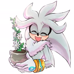 Size: 2048x2048 | Tagged: safe, artist:miitsubo, silver the hedgehog, 2024, blushing, cute, holding something, mouth open, one fang, plant, plant pot, signature, simple background, smile, solo, white background