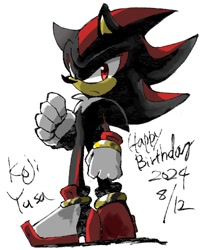 Size: 500x600 | Tagged: safe, artist:daysz1130, shadow the hedgehog, 2024, birthday, english text, frown, koji yusa, simple background, solo, standing, white background