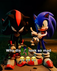 Size: 2066x2560 | Tagged: safe, artist:souljenx7, shadow the hedgehog, sonic the hedgehog, sonic adventure 2, 2024, 3d, blender (medium), duo, emoji, grass, grin, i found you faker, meme, outdoors, smile, standing, why dis x look so mad