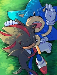 Size: 1536x2048 | Tagged: safe, artist:billytarmadillo, shadow the hedgehog, sonic the hedgehog, 2024, daytime, drooling, duo, eyes closed, gay, grass, hand on another's head, holding tail, lying down, mouth open, outdoors, redraw, shadow x sonic, shipping, signature, sleeping