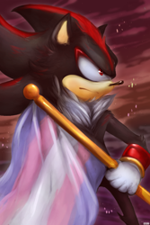 Size: 600x900 | Tagged: safe, artist:hubarram, shadow the hedgehog, abstract background, flag, frown, holding something, lineless, looking offscreen, pride flag, signature, solo, standing, trans pride