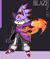 Size: 1327x1555 | Tagged: safe, artist:bahamutgreen, blaze the cat, 2023, abstract background, character name, fire, frown, hand on hip, lidded eyes, looking at viewer, outline, solo, standing