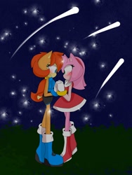 Size: 1152x1536 | Tagged: safe, artist:adventure918, amy rose, sally acorn, 2023, abstract background, blushing, cute, dot mouth, duo, flat colors, grass, holding hands, lesbian, lidded eyes, looking at each other, nighttime, outdoors, sallamy, shipping, shooting star, smile, standing, star (sky)