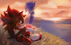 Size: 1425x910 | Tagged: safe, artist:maipeikko, shadow the hedgehog, sonic the hedgehog, sonic the hedgehog 3 (film), 2024, abstract background, duo, frown, grass, hands on hips, lidded eyes, lineless, looking down, looking offscreen, outdoors, sitting, smile, standing, sunset, water
