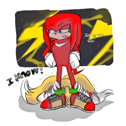 Size: 1024x1024 | Tagged: safe, artist:domuchao, knuckles the echidna, miles "tails" prower, 2022, dialogue, duo, english text, lightning, scared, shadow (lighting), simple background, white background