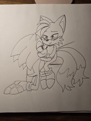 Size: 1536x2048 | Tagged: safe, artist:riri_galpal, miles "tails" prower, sonic the hedgehog, 2024, blushing, duo, gay, kneeling, lidded eyes, line art, looking at each other, penwork, shipping, sitting, smile, sonic x tails