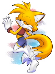 Size: 896x1199 | Tagged: safe, artist:arts_evo, miles "tails" prower, oc, oc:tailsko, 2024, gender swap, smile, solo, stockings