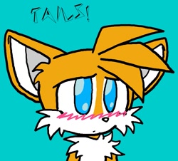 Size: 939x850 | Tagged: safe, artist:harleyturbo, miles "tails" prower, 2010, blushing, character name, cute, dot mouth, ear fluff, flat colors, looking offscreen, simple background, solo, turquoise background