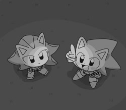 Size: 1280x1117 | Tagged: safe, artist:pita_b882, shadow the hedgehog, sonic the hedgehog, 2024, duo, from above, greyscale, monochrome, pointing, pointing up, smile, standing