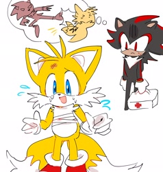 Size: 1946x2048 | Tagged: safe, artist:pigpotat0, miles "tails" prower, shadow the hedgehog, 2024, bandage, duo, fight, first aid kit, holding something, simple background, thought bubble, white background