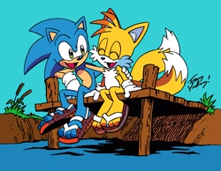 Size: 2945x2286 | Tagged: safe, artist:tracy yardley, miles "tails" prower, sonic the hedgehog, fox, hedgehog, commission, duo male, flipflops, gloves, grass, green eyes, hand on shoulder, open mouth, paws, sandals, sitting, smile, two tails, water